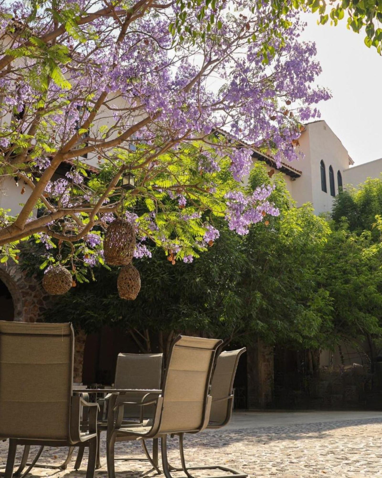 Suites Campestres Montebello Bernal Luaran gambar